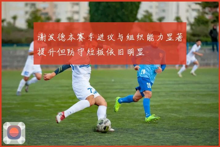 谢泼德本赛季进攻与组织能力显著提升但防守短板依旧明显