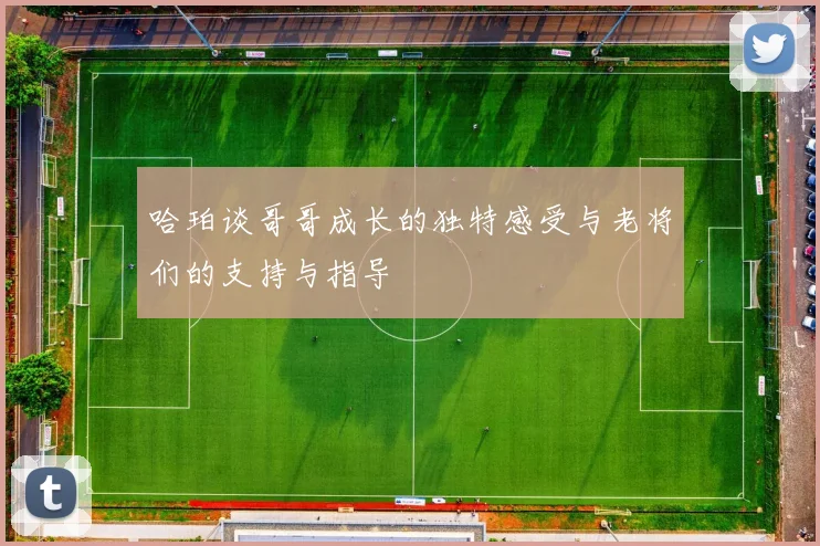哈珀谈哥哥成长的独特感受与老将们的支持与指导